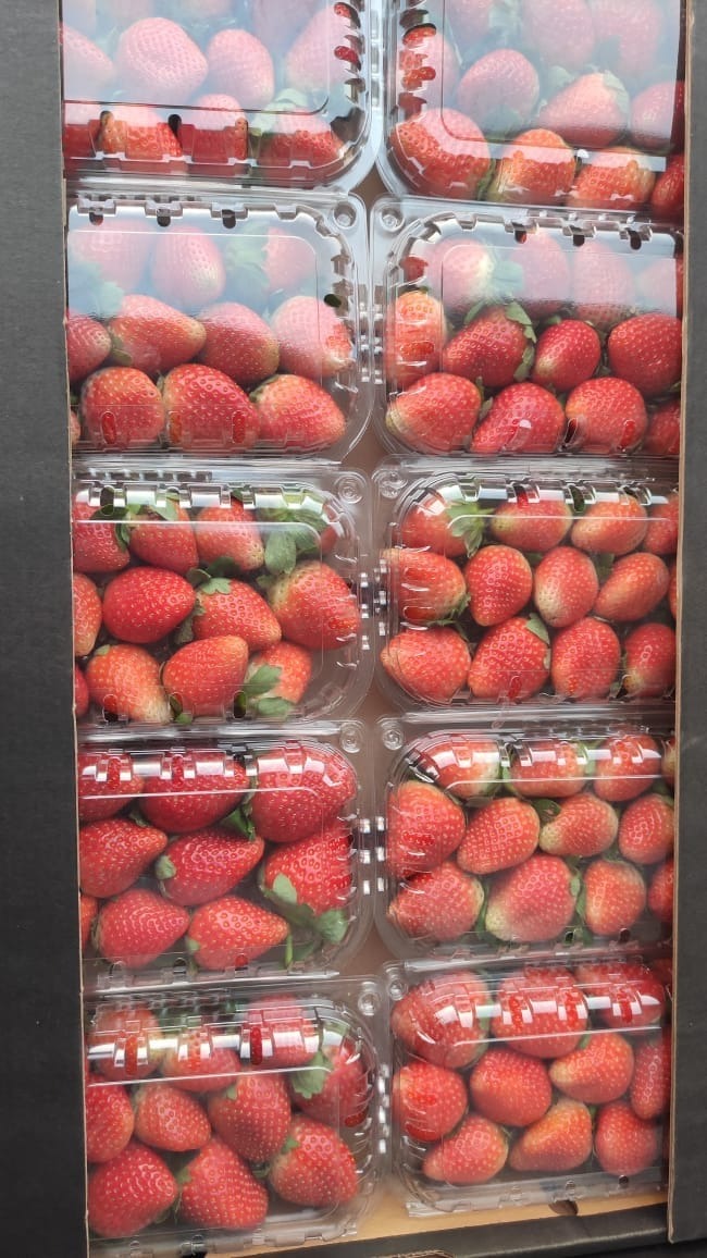 WhatsApp Image 2024-10-05 at 3.47.50 PM (6)