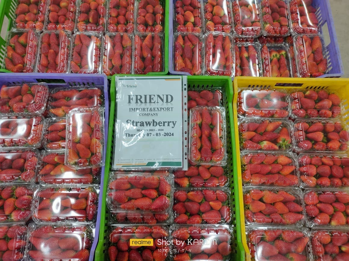 WhatsApp Image 2024-10-05 at 3.47.50 PM (7)