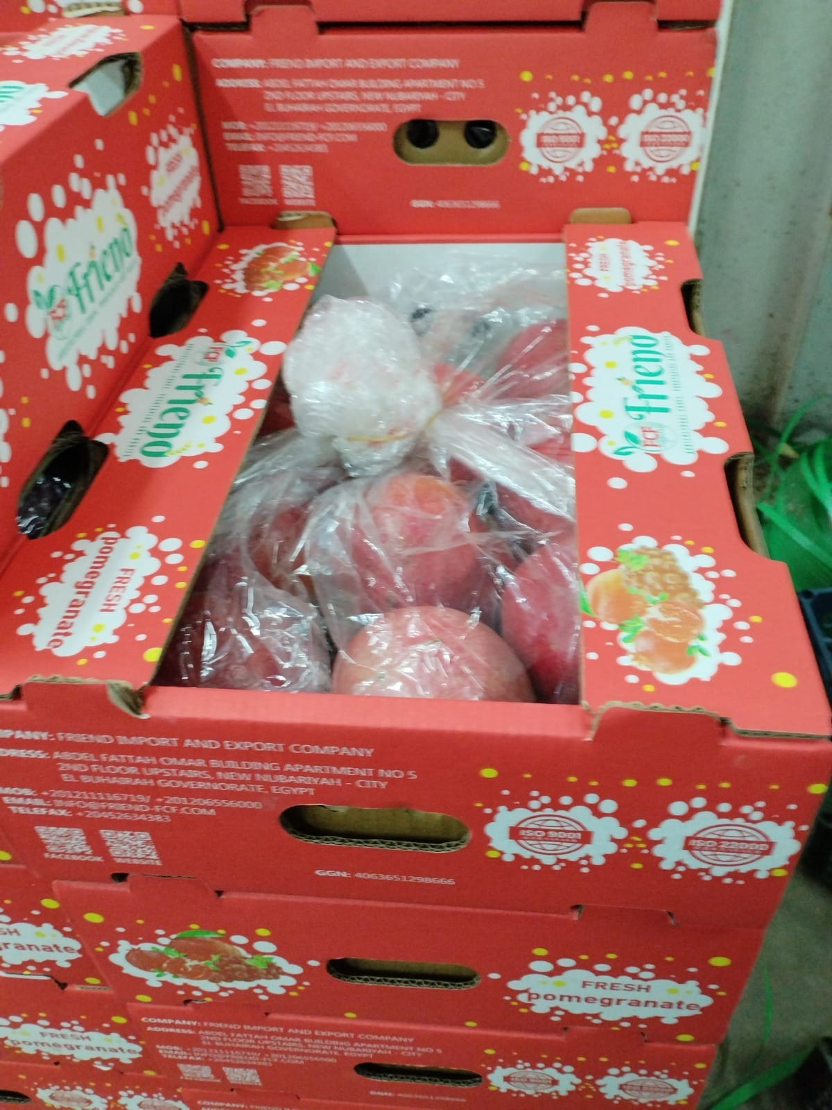 WhatsApp Image 2024-10-05 at 3.47.51 PM (1)