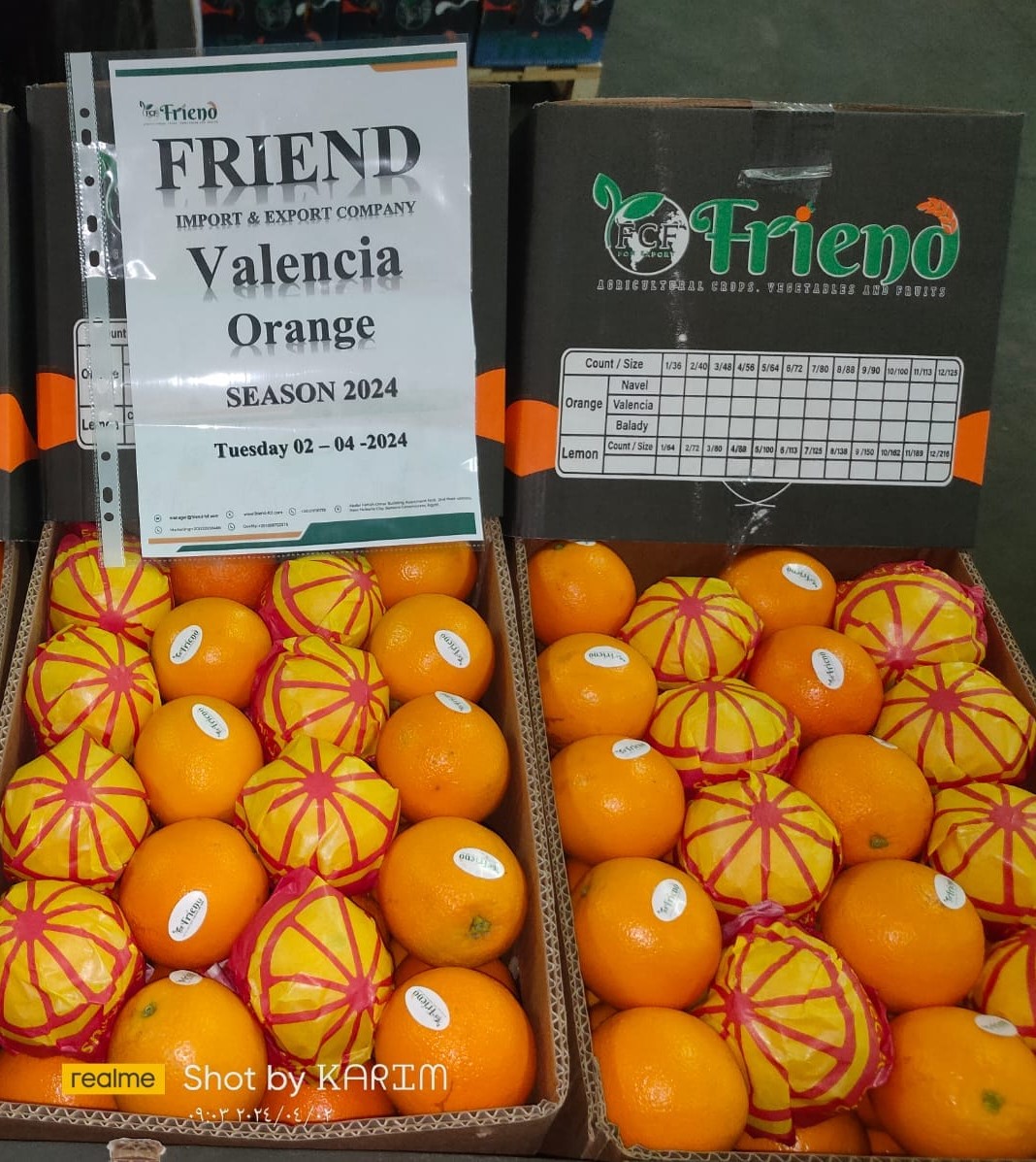 WhatsApp Image 2024-10-05 at 3.47.44 PM