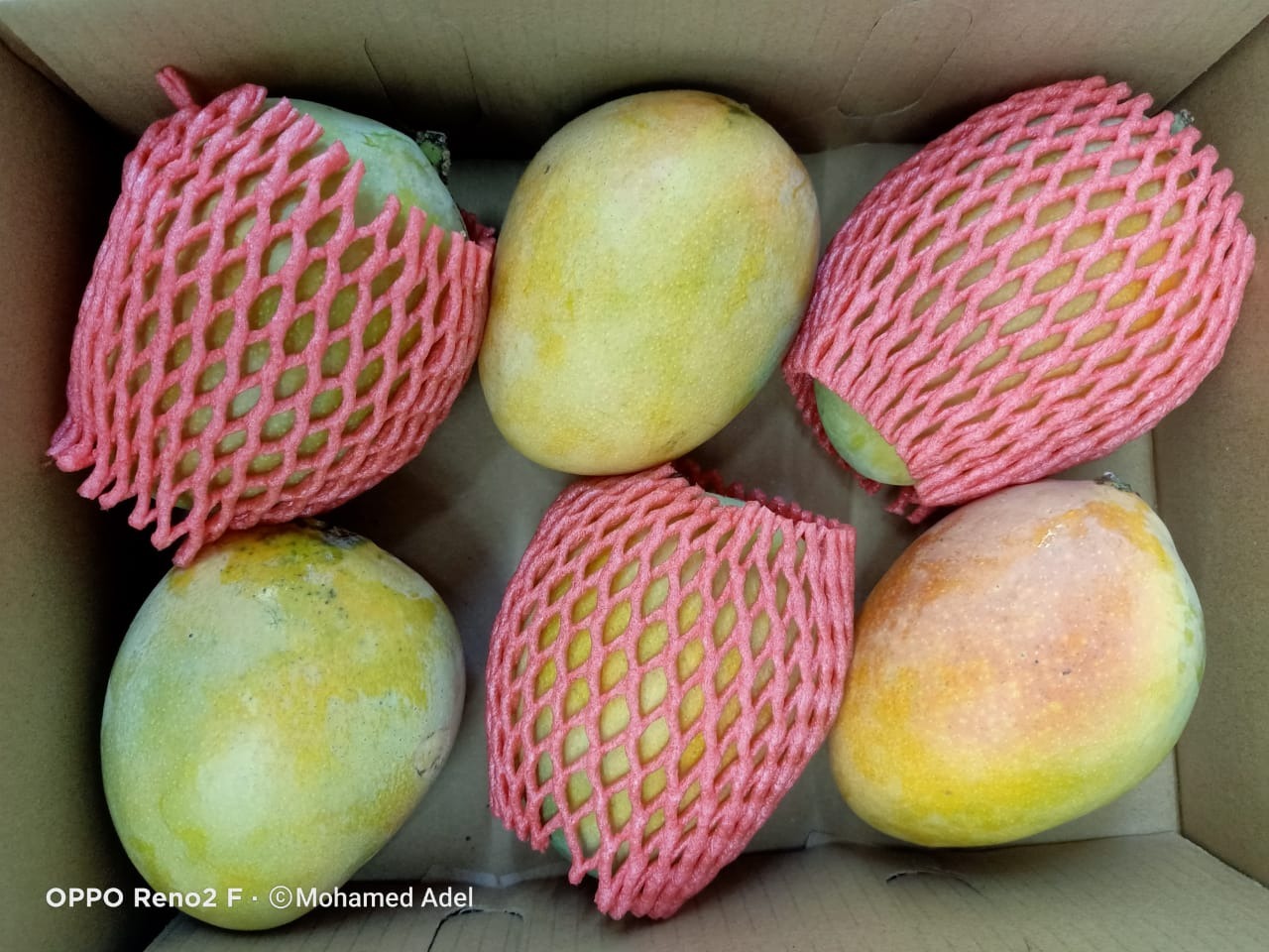 WhatsApp Image 2024-10-05 at 3.47.49 PM (1)