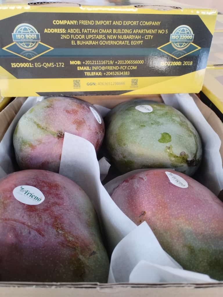 WhatsApp Image 2024-10-05 at 3.47.49 PM