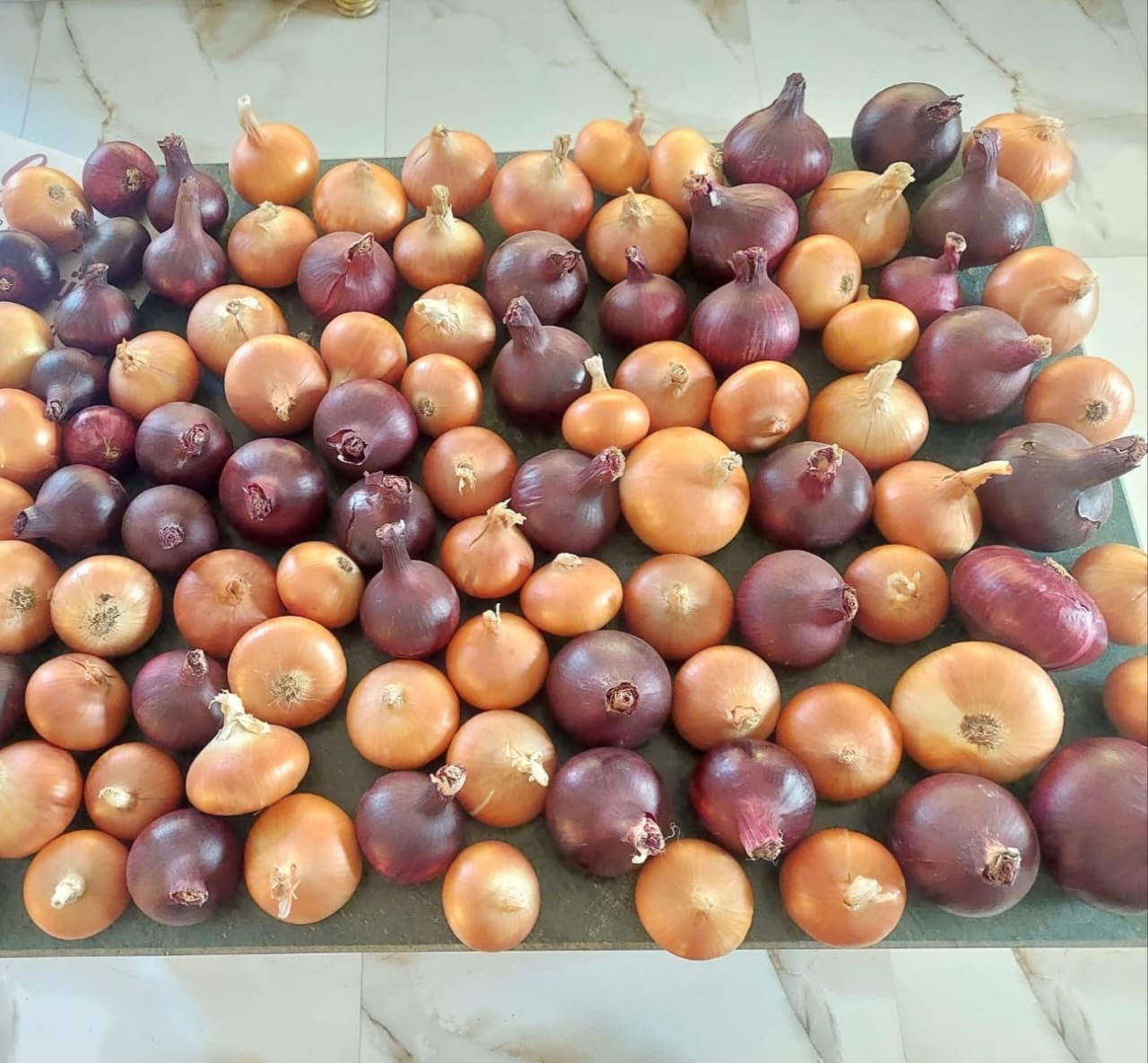 WhatsApp Image 2024-10-05 at 3.47.50 PM (1)