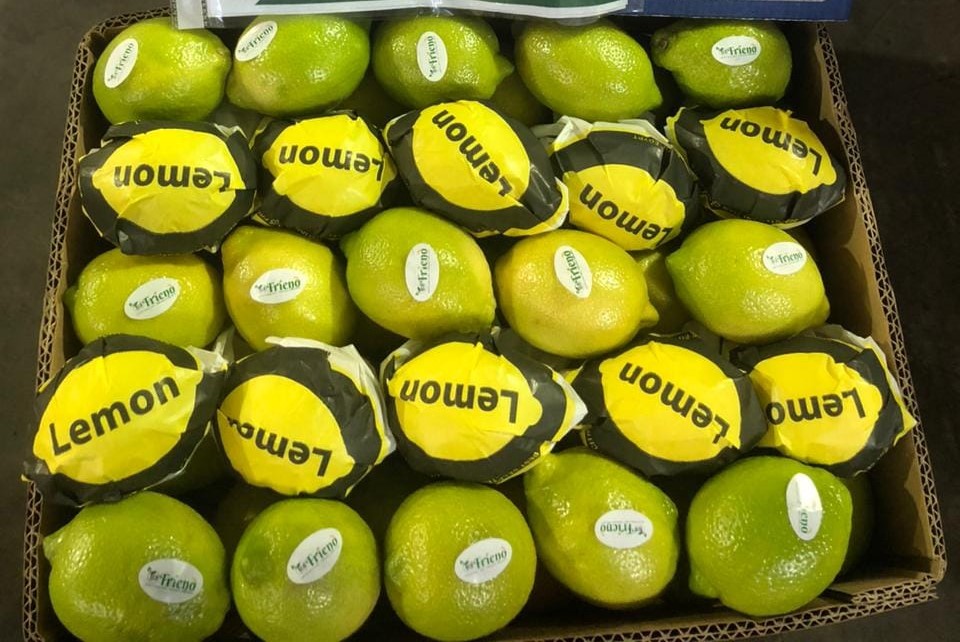 WhatsApp Image 2024-10-05 at 3.47.50 PM (4)