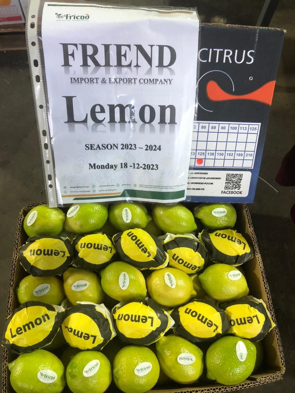 WhatsApp Image 2024-10-05 at 3.47.50 PM (5)