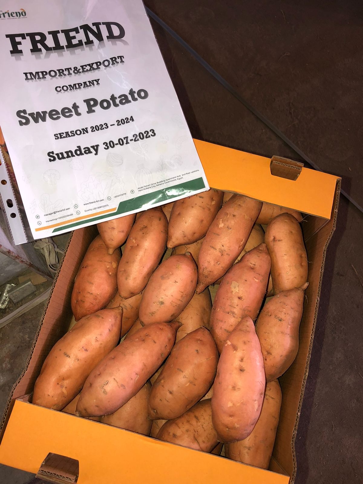 WhatsApp Image 2024-10-05 at 3.47.51 PM (2)