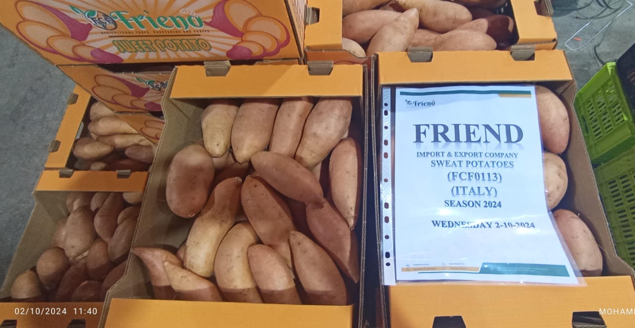 WhatsApp Image 2024-10-05 at 3.47.51 PM