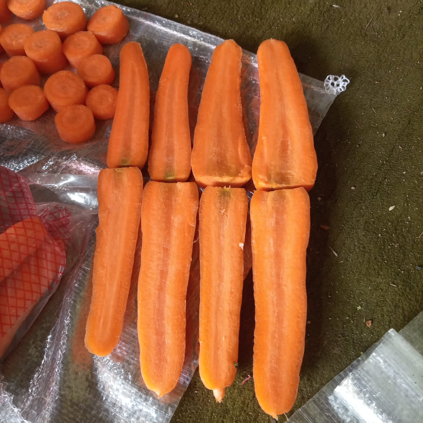 WhatsApp Image 2024-10-05 at 3.47.45 PM