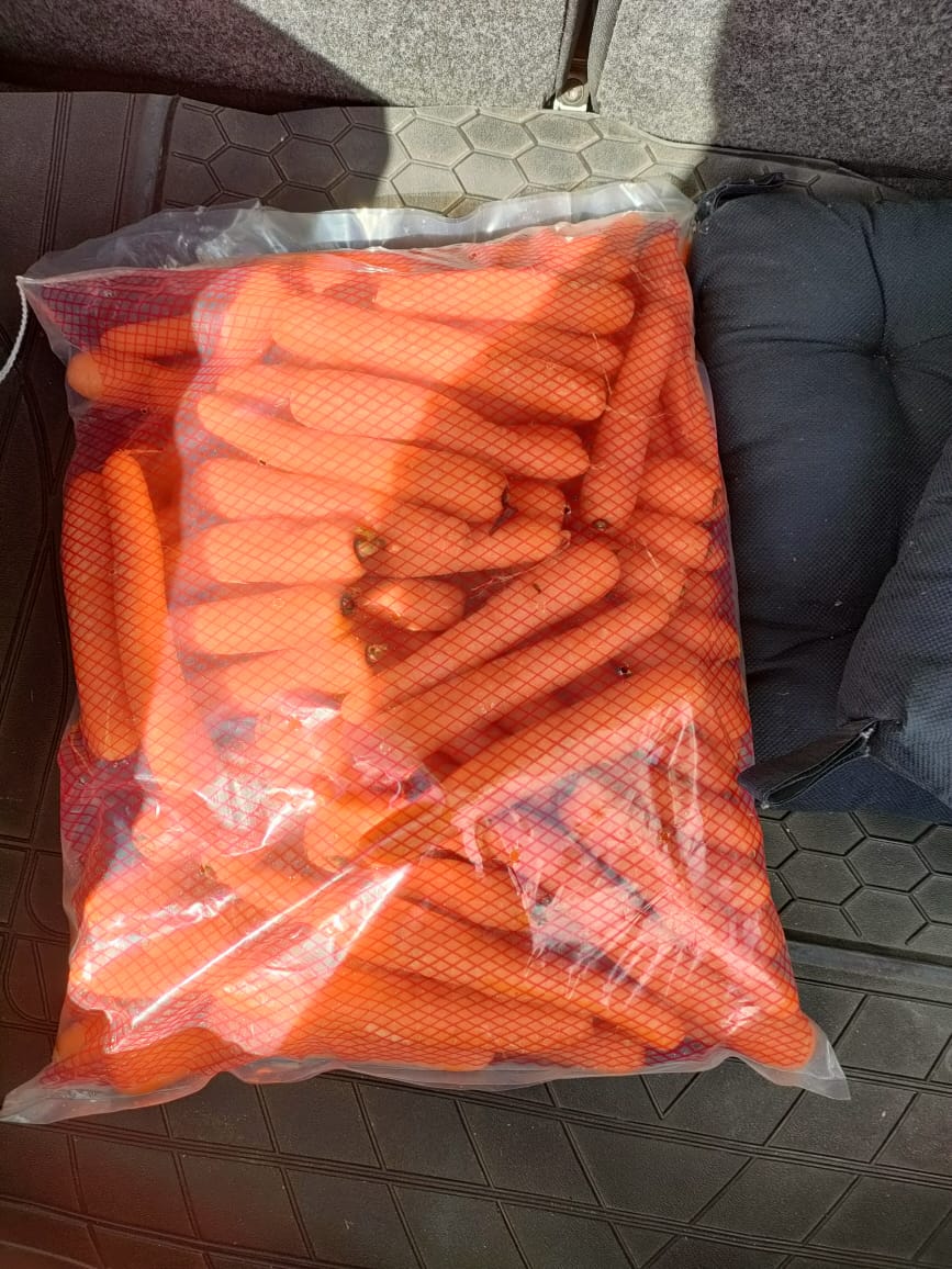 WhatsApp Image 2024-10-05 at 3.47.46 PM (1)