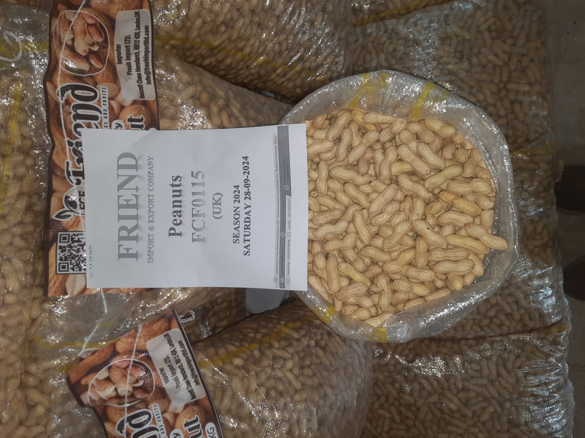 WhatsApp Image 2024-10-05 at 3.47.48 PM (1)