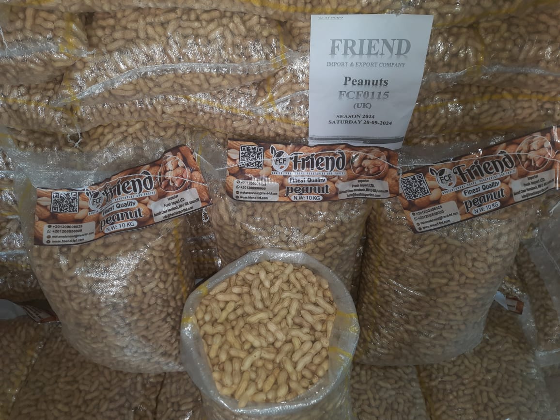 WhatsApp Image 2024-10-05 at 3.47.48 PM