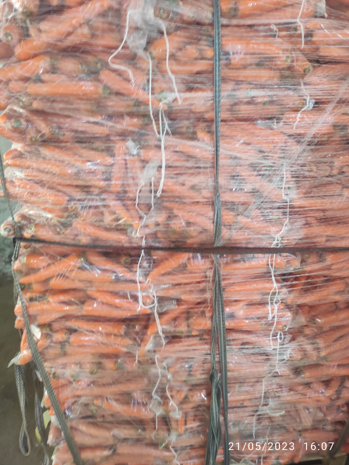 WhatsApp Image 2024-10-05 at 3.47.50 PM (2)