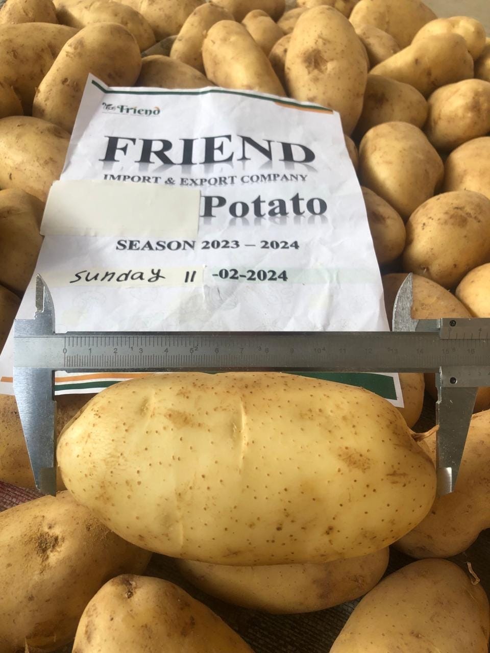 WhatsApp Image 2024-10-05 at 3.47.51 PM (4)